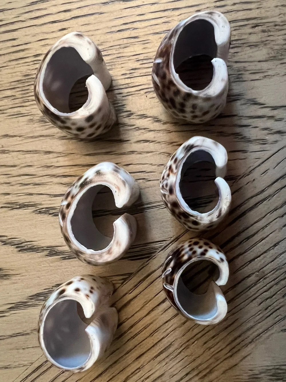 Vintage Tiger Cowrie Shell Napkin Rings set of 6